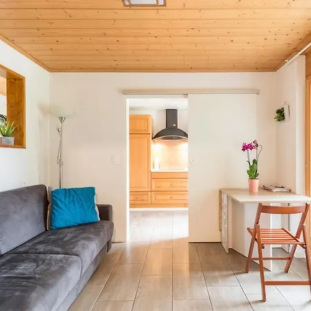 Apartman Crans Montana Joli Avec Bel Exterieur Cloture