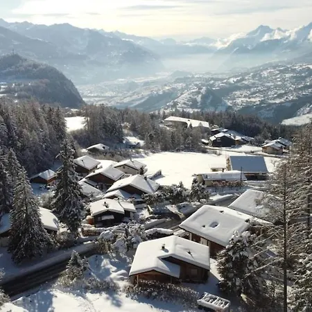 Crans Montana Joli Avec Bel Exterieur Cloture *