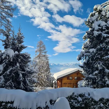 Crans Montana Joli Avec Bel Exterieur Cloture Lens