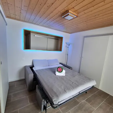 Crans Montana Joli Avec Bel Exterieur Cloture