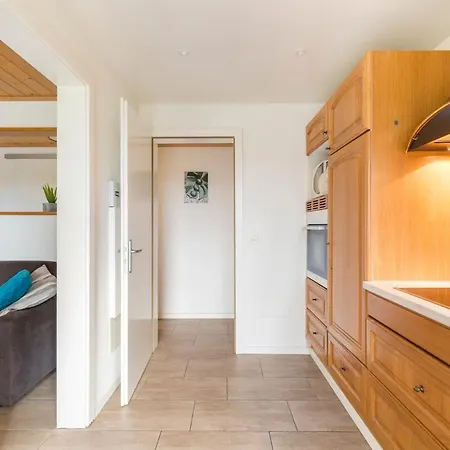 Crans Montana Joli Avec Bel Exterieur Cloture Apartment
